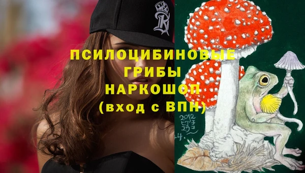 бутират Баксан